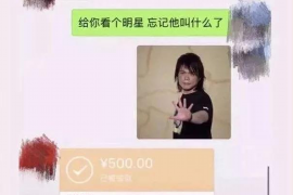 盐城融资清欠服务