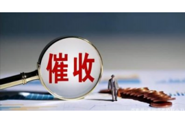 盐城债务清欠服务